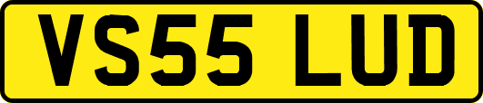 VS55LUD