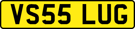 VS55LUG