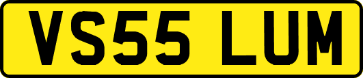 VS55LUM