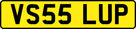 VS55LUP