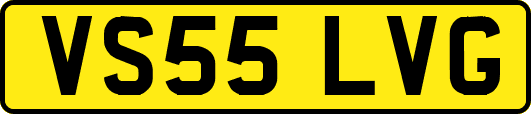VS55LVG