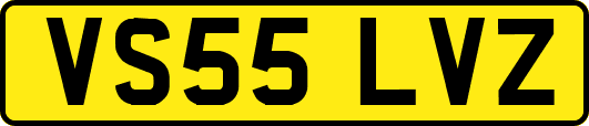 VS55LVZ