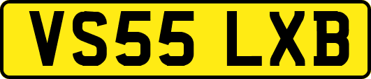 VS55LXB