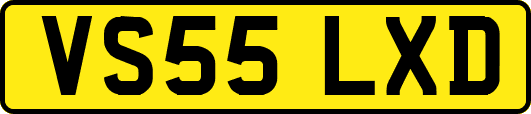 VS55LXD