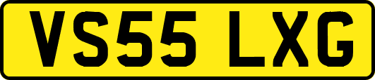 VS55LXG