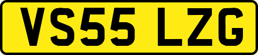 VS55LZG