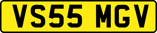 VS55MGV