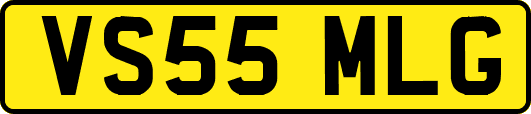 VS55MLG