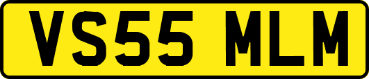 VS55MLM