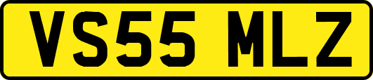 VS55MLZ