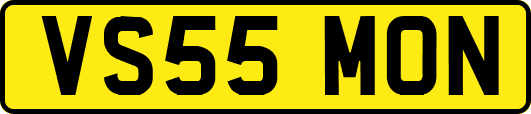 VS55MON