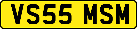 VS55MSM
