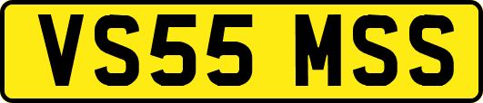 VS55MSS