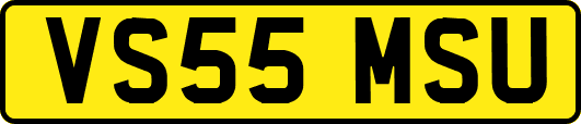 VS55MSU