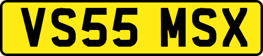 VS55MSX
