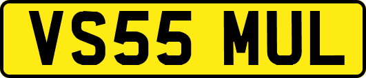 VS55MUL