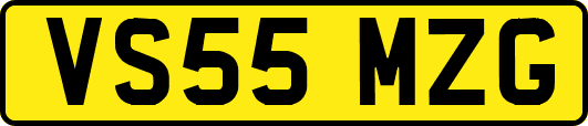 VS55MZG
