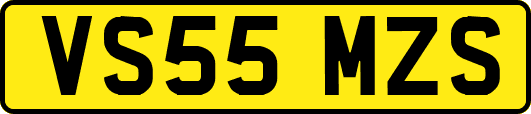 VS55MZS