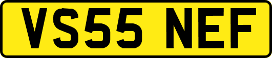 VS55NEF