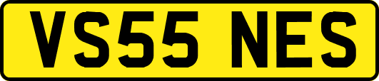 VS55NES