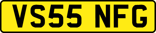 VS55NFG