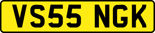 VS55NGK