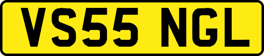 VS55NGL