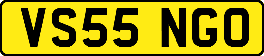 VS55NGO
