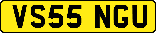VS55NGU
