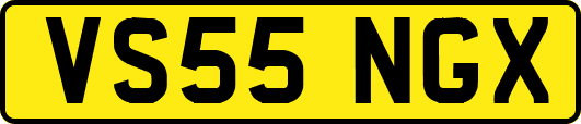 VS55NGX