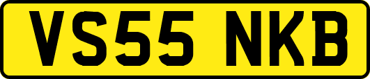 VS55NKB