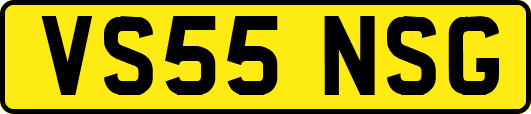 VS55NSG
