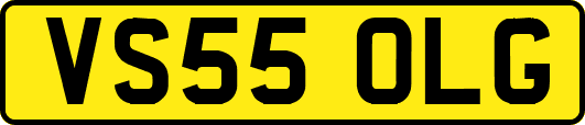 VS55OLG
