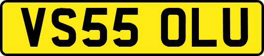 VS55OLU