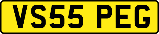 VS55PEG