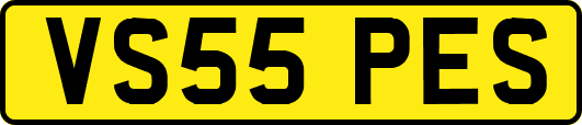VS55PES