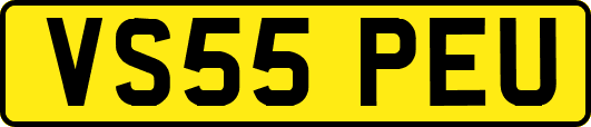 VS55PEU