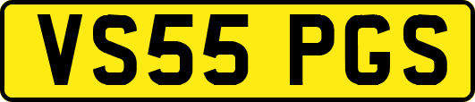VS55PGS