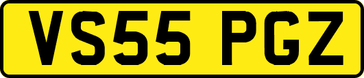 VS55PGZ