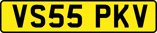 VS55PKV