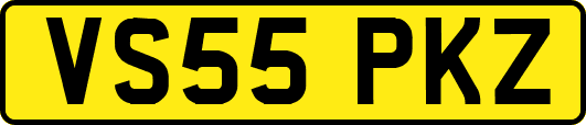 VS55PKZ