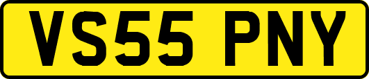VS55PNY