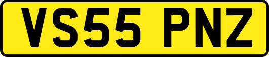 VS55PNZ