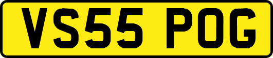 VS55POG