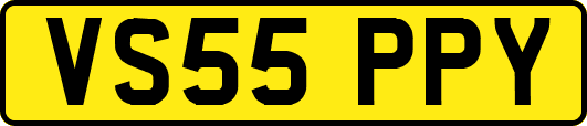 VS55PPY