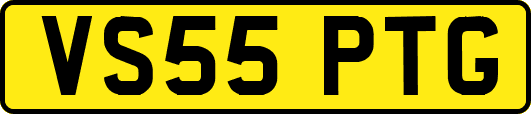 VS55PTG