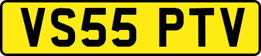VS55PTV