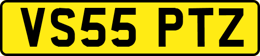 VS55PTZ