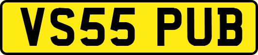 VS55PUB