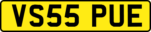 VS55PUE
